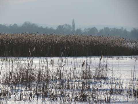 YSTM Winterlandschaft