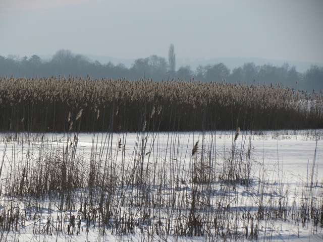 YSTM Winterlandschaft